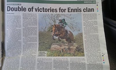 Irish_Field_April_2016_2.jpg